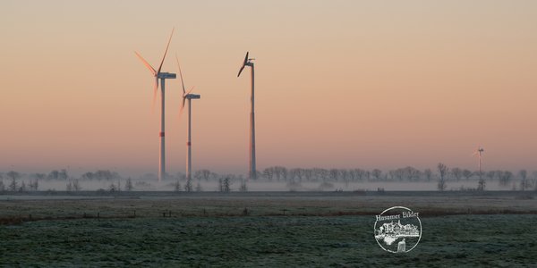 Windkrafträder an einem nebligen Wintermorgen in der Südermarsch
